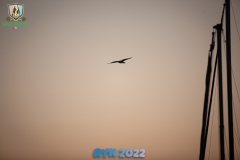 JBF_2182